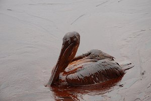 One Year After the BP Oil Spill, Americans Are Ready to Drill